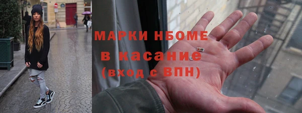 индика Бородино