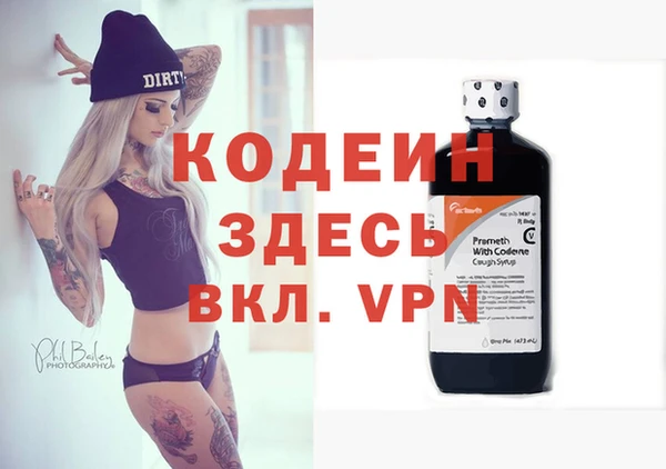 индика Бородино