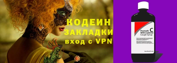 крисы Богородицк