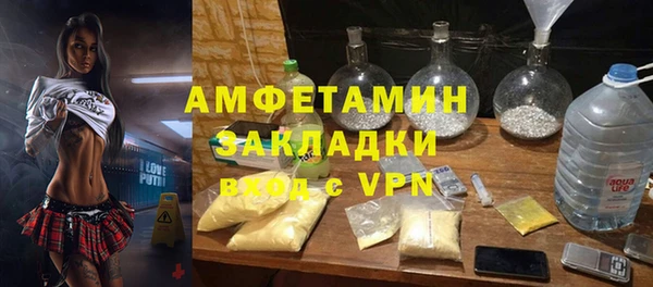 индика Бородино