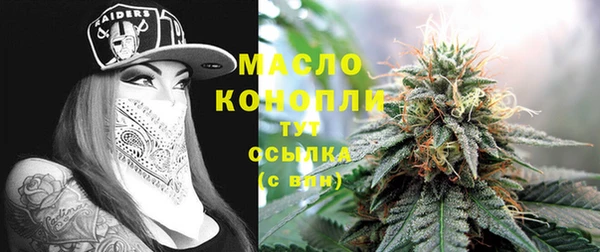 дживик Богородск