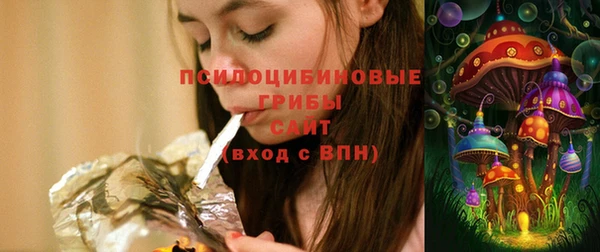 дживик Богородск