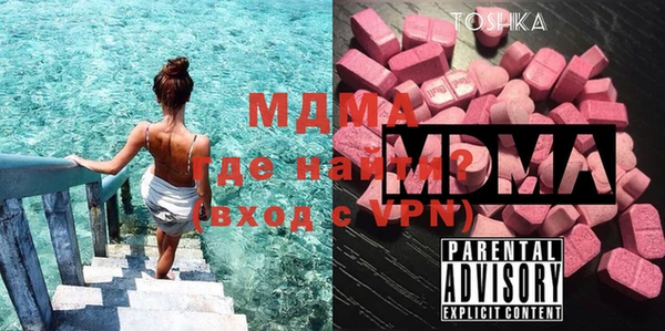 индика Бородино