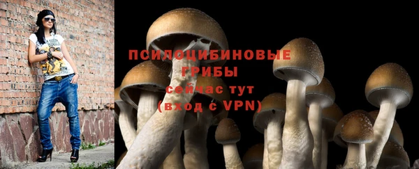 крисы Бугульма