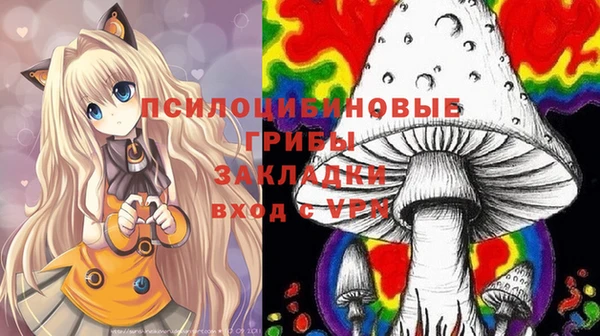 индика Бородино